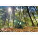 DD Hammocks DD SuperLight Bikepacker Mesh Tent