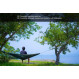 Hamac DD Hammocks DD Camping Hammock