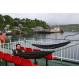 Hamac DD Hammocks DD Camping Hammock