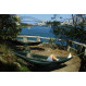 Hamac DD Hammocks DD Camping Hammock