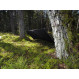 Nordisk Jorund Tech Bivy
